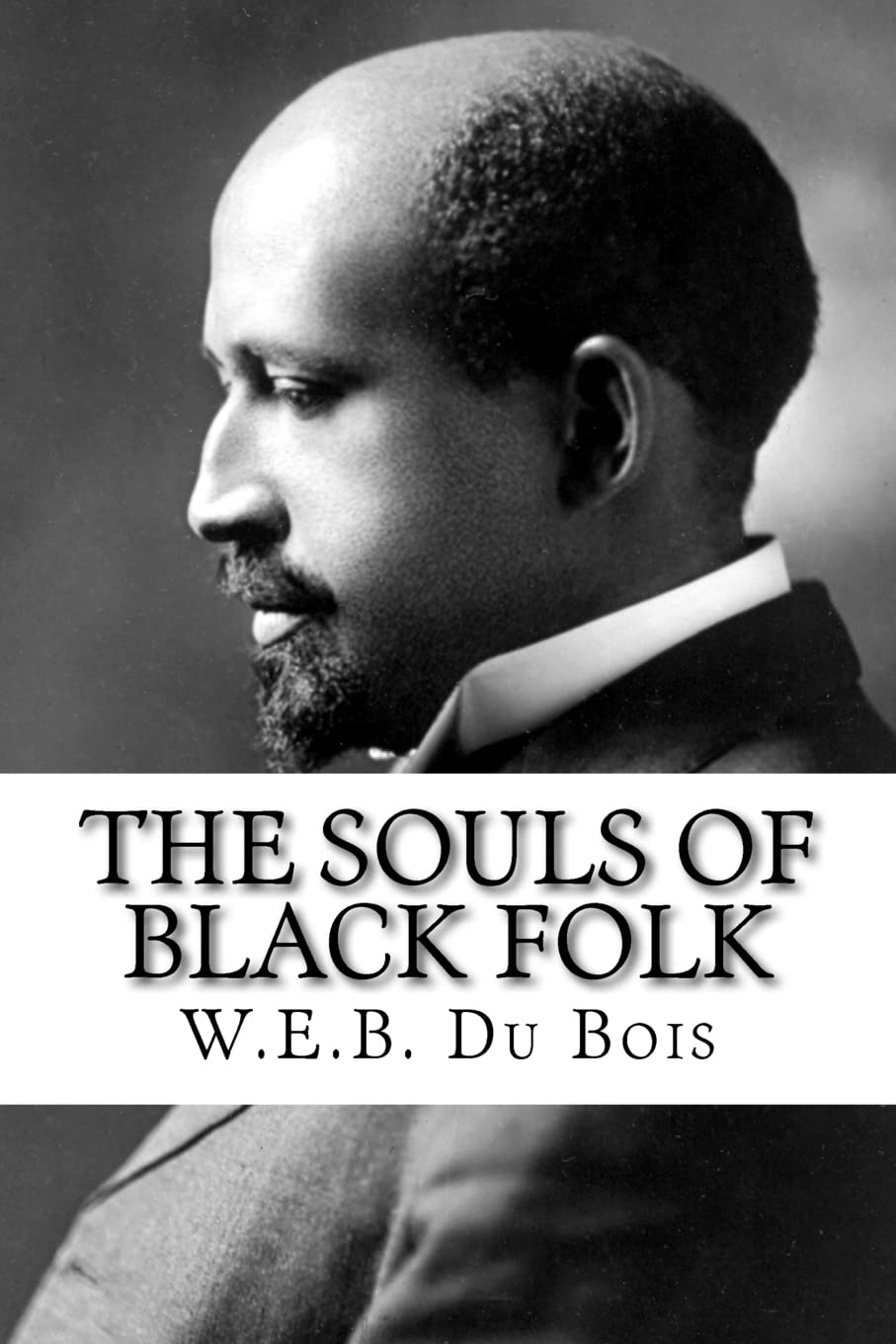 Book Cover: The Souls of Black Folk